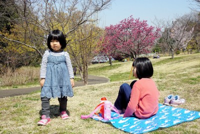 DSC00021 (1)
