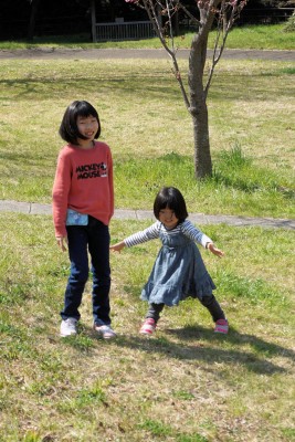 DSC00027 (1)