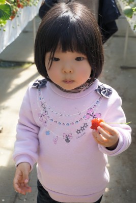 DSC09847