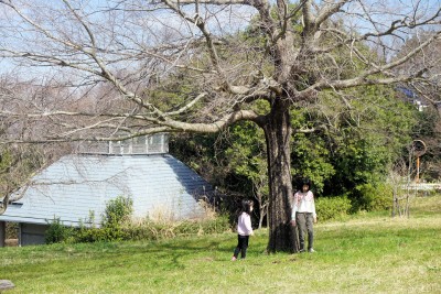 DSC05103