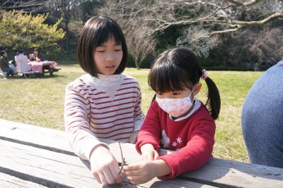 DSC05211