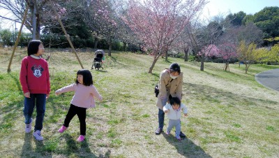 IMG_20210318_110224