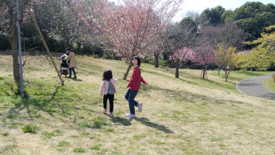 IMG_20210318_110358